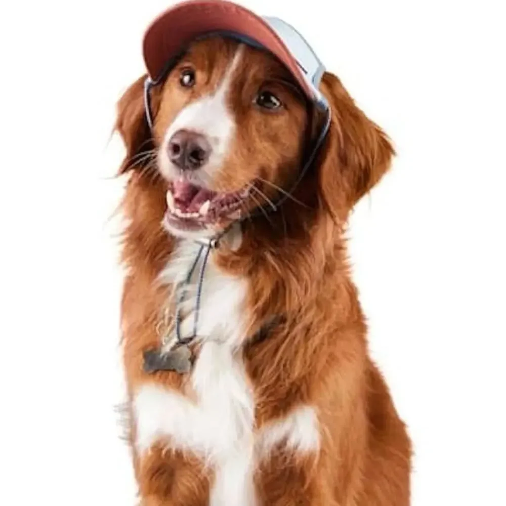 Reddy Lavender Bucket Hat / Sun Visor for dogs L/XL